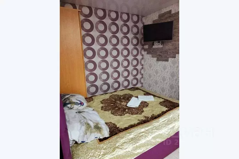 1-к кв. Алтайский край, Рубцовск Новоегорьевский тракт, 119 (27.0 м) - Фото 1