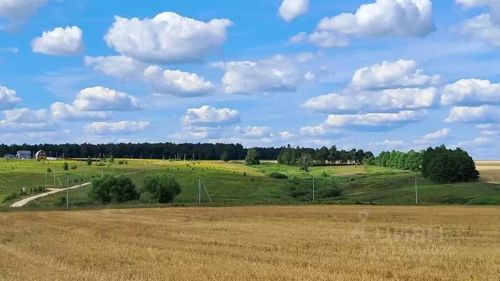 Участок в Тульская область, Заокский район, Демидовское с/пос, с. ... - Фото 0