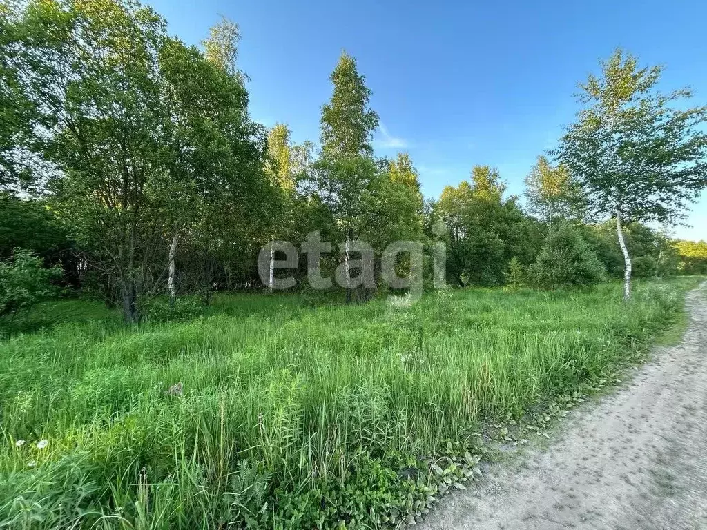 Участок в Тульская область, Тула муниципальное образование, с. Фалдино ... - Фото 1