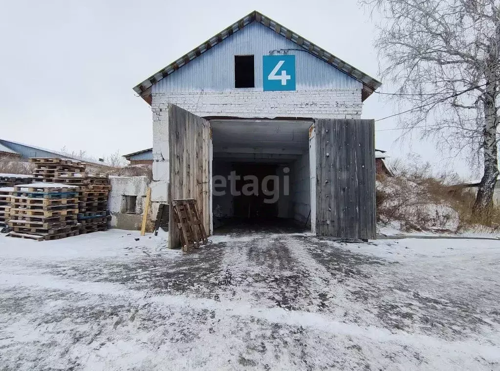 Помещение свободного назначения в Новосибирская область, Новосибирский ... - Фото 1