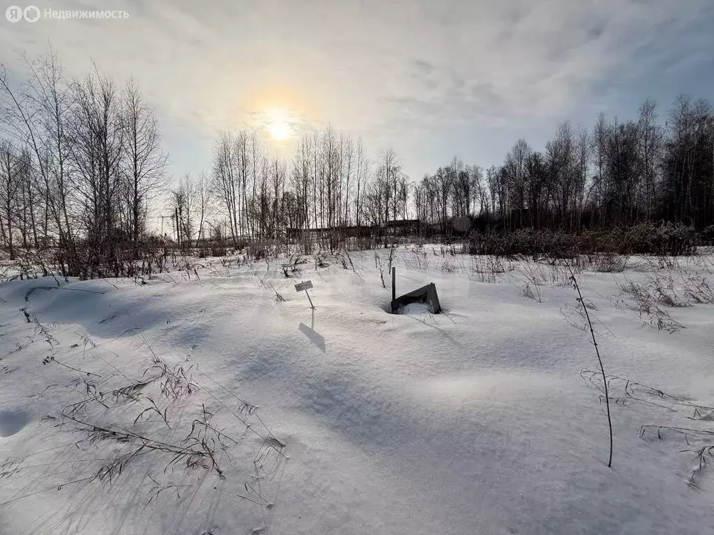 Участок в Красноярский край, Емельяновский муниципальный округ, ... - Фото 2