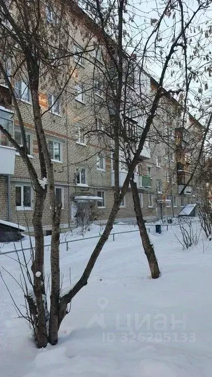 1-к кв. Свердловская область, Березовский Шиловская ул., 12 (36.4 м) - Фото 1