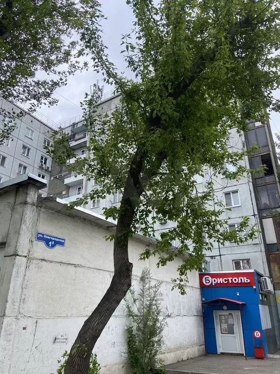 Квартира-студия, 12,1 м, 7/9 эт. - Фото 1