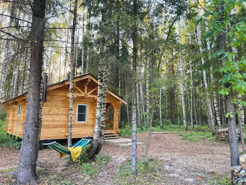 Дом в Костромская область, Кострома  (43 м) - Фото 1