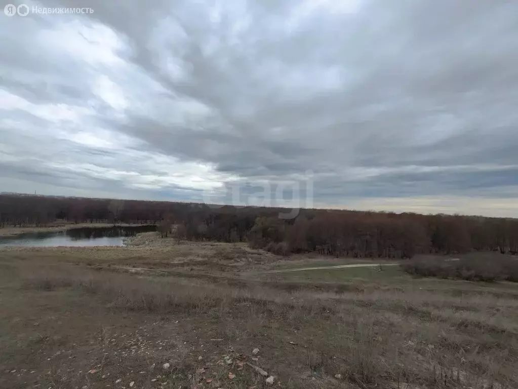 Участок в село Репное, улица имени Н.З. Тремасова (7 м) - Фото 0
