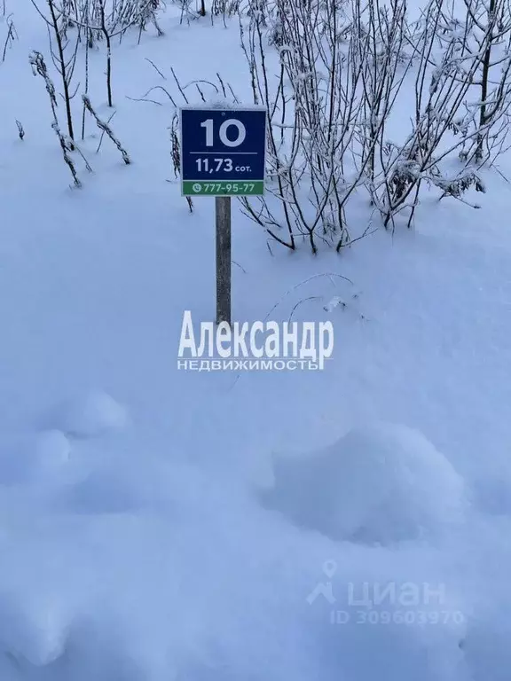 Участок в Ленинградская область, Всеволожский район, Лесколовское ... - Фото 0