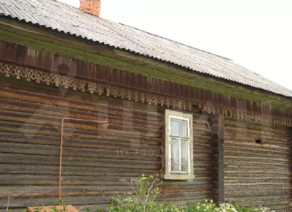 Погода в трубино тверская. Деревня Трубино Тверская область.