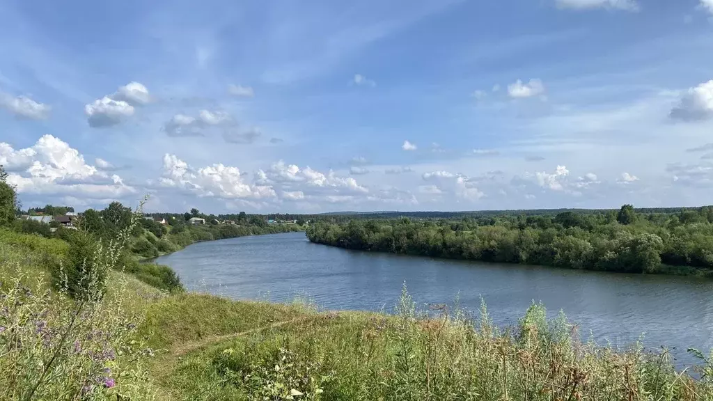 Участок в Пермский край, Березники муниципальное образование, с. ... - Фото 1