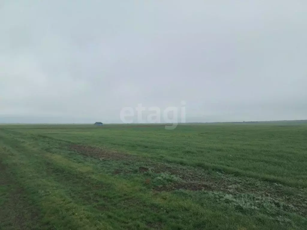 Участок в Крым, Ленинский район, Семисотское с/пос, с. Каменское ул. ... - Фото 1