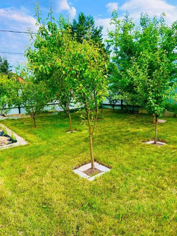 Участок, 7 сот., сельхоз (снт или днп) - Фото 1