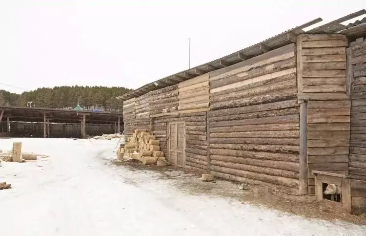 Помещение свободного назначения в Иркутская область, Иркутский район, ... - Фото 0