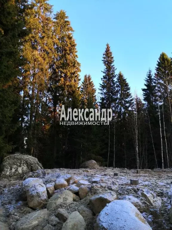 Дом в Карелия, Лахденпохья пос. Хуухканмяки,  (34 м) - Фото 2