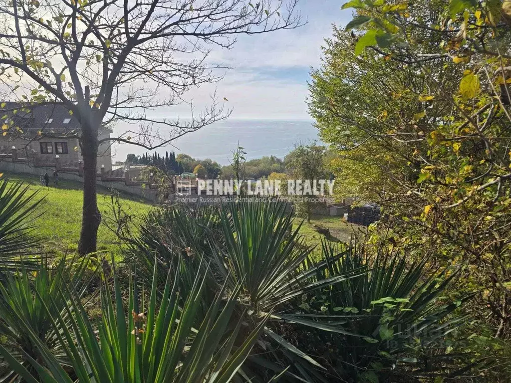 Участок в Краснодарский край, Сочи Новороссийское ш., 1 (20.0 сот.) - Фото 2