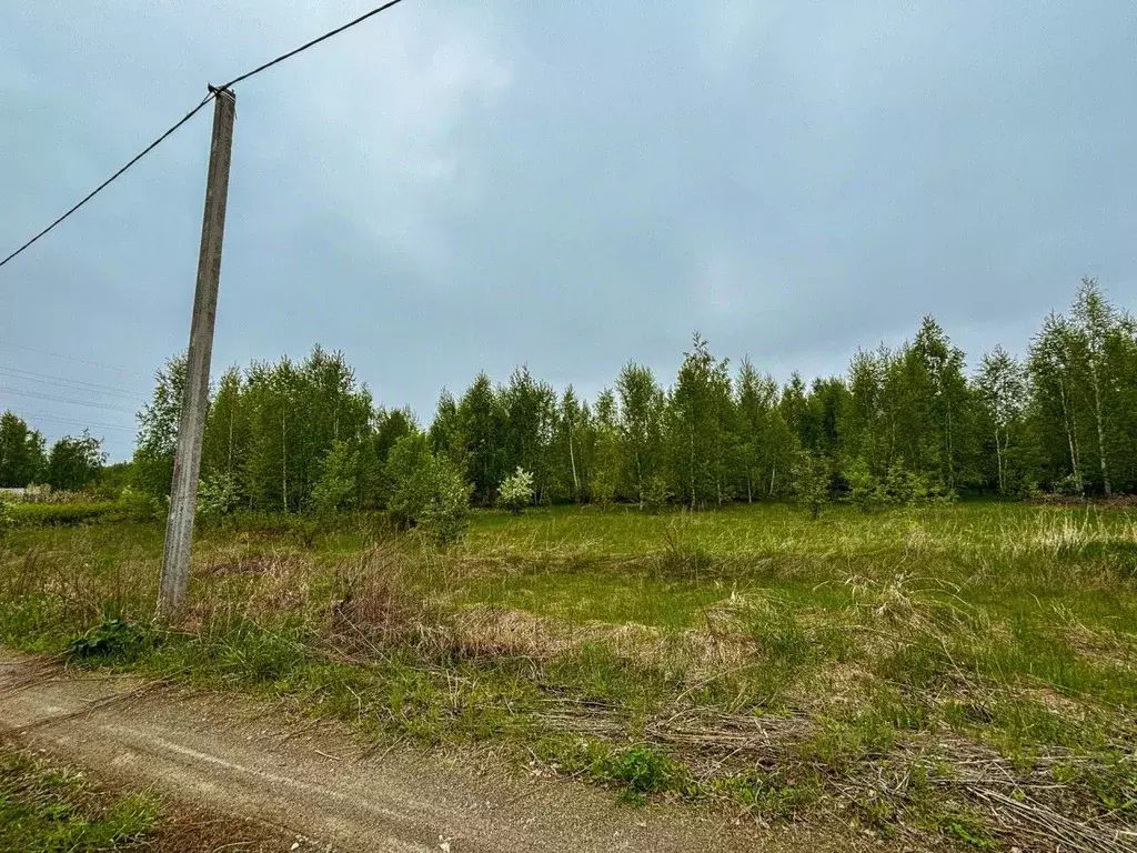 Участок в Челябинская область, Сосновский муниципальный округ, пос. ... - Фото 2