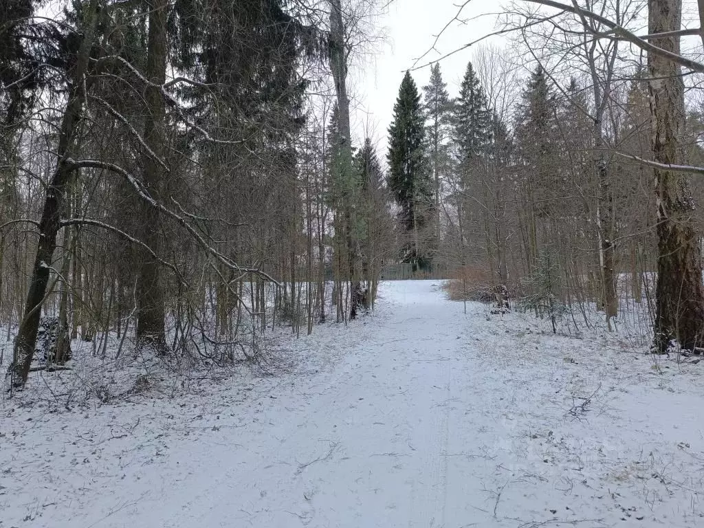 Участок в Московская область, Солнечногорск городской округ, пос. ... - Фото 0