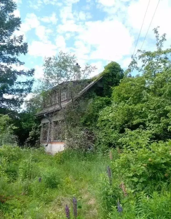 Дом в Ленинградская область, Лужский район, Заклинское с/пос, ... - Фото 2