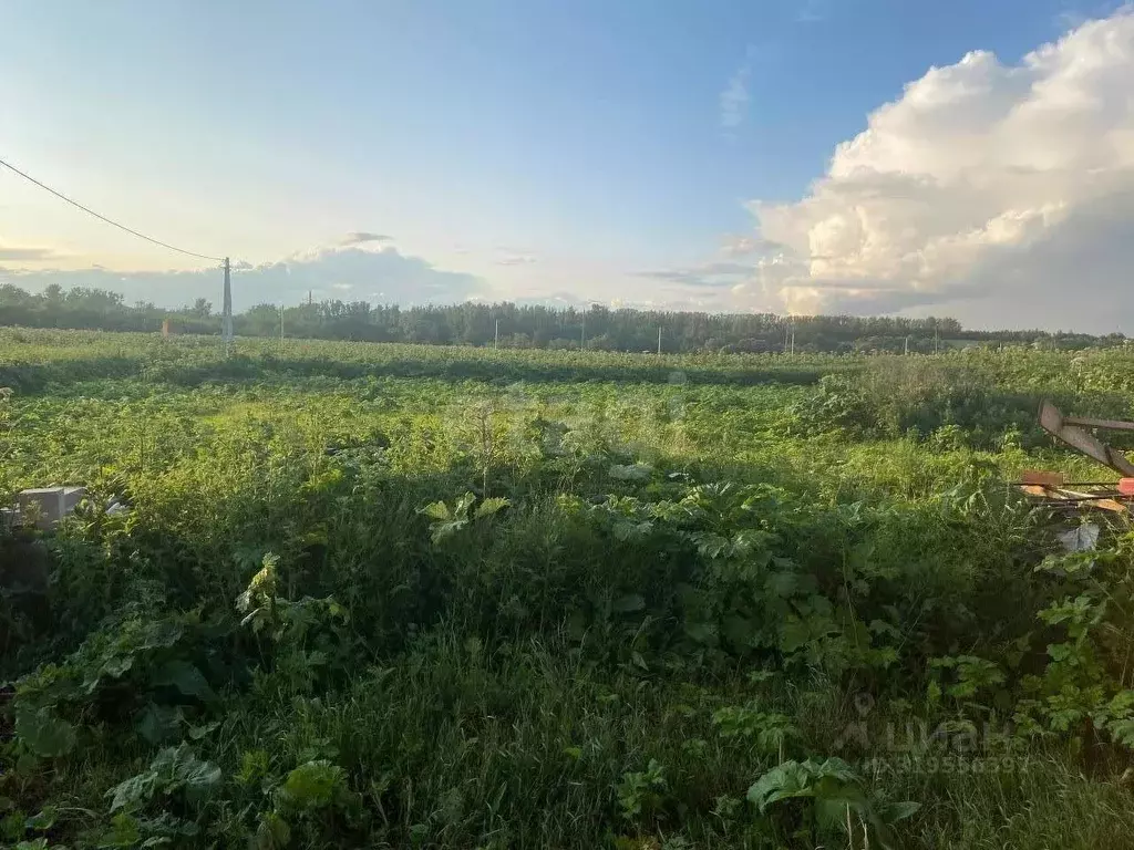 Участок в Тульская область, Тула городской округ, пос. Придорожный  ... - Фото 1