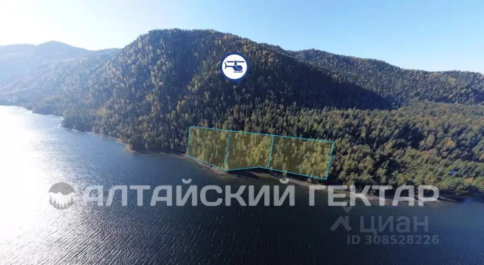 Участок в Алтай, Турочакский район, с. Иогач Центральная ул. (72.58 ... - Фото 0