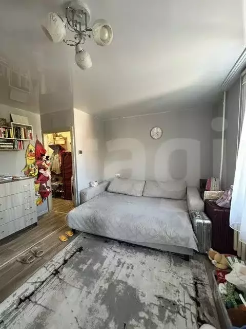 1-к кв. Иркутская область, Иркутск ул. Баррикад, 54Е (30.8 м) - Фото 1