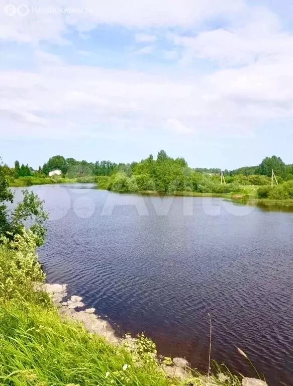 Участок в Вологодский муниципальный округ, деревня Кишкино ... - Фото 1