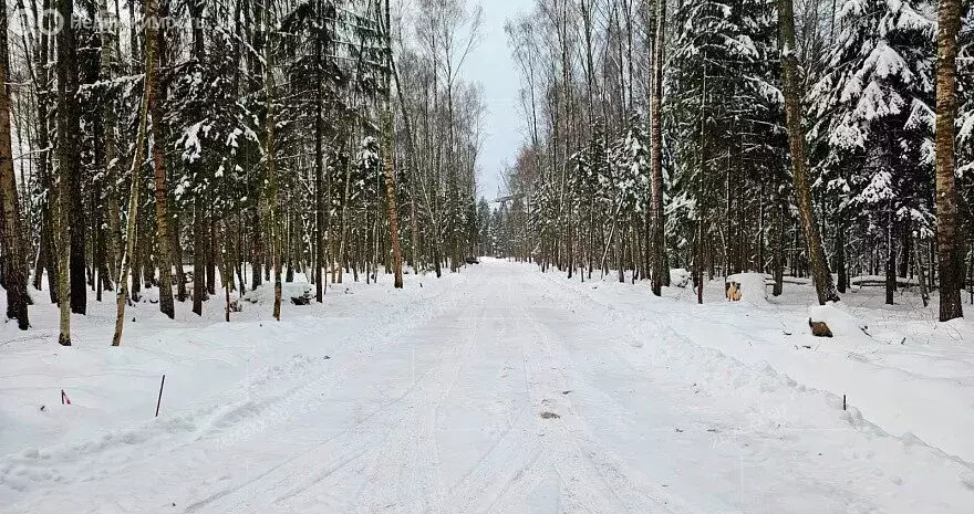 Участок в Московская область, городской округ Мытищи, деревня ... - Фото 1