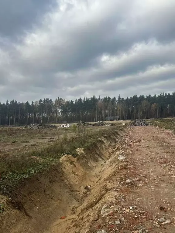 Участок в Московская область, Богородский городской округ, д. Пешково  ... - Фото 1