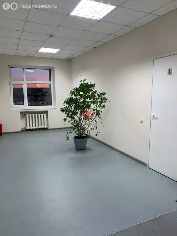 Офис (31 м) - Фото 0