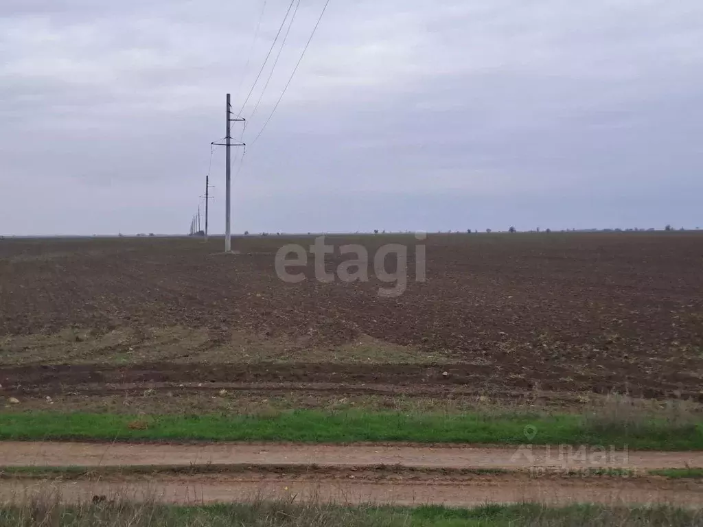 Участок в Крым, Сакский район, с. Молочное  (425.08 сот.) - Фото 2