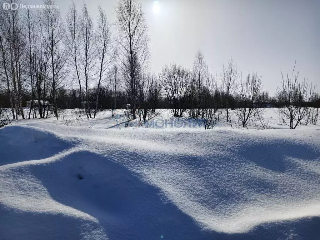 Участок в городской округ Нижний Новгород, деревня Новопавловка (50 м) - Фото 1