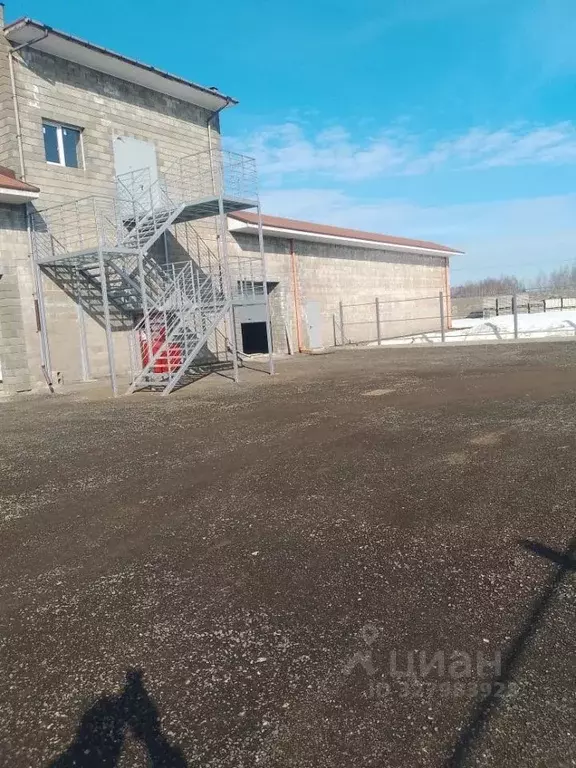 Помещение свободного назначения в Московская область, Раменское ... - Фото 1