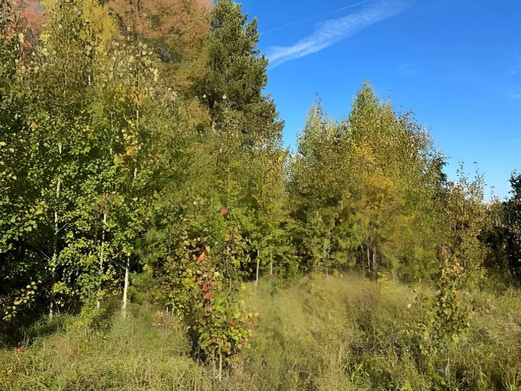 Помещение свободного назначения в Свердловская область, Сысертский ... - Фото 1