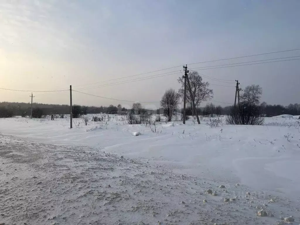 Участок в Ярославская область, Даниловский муниципальный округ, д. ... - Фото 1