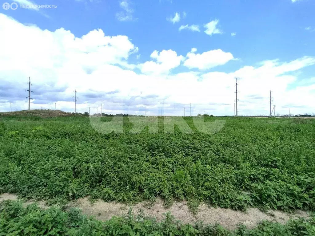 Участок в Кореновск, улица Андрейчука (5.5 м) - Фото 0