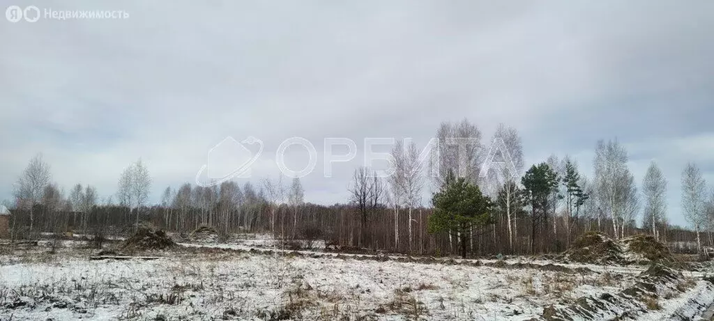 Участок в Нижнетавдинский район, садоводческое товарищество ... - Фото 1