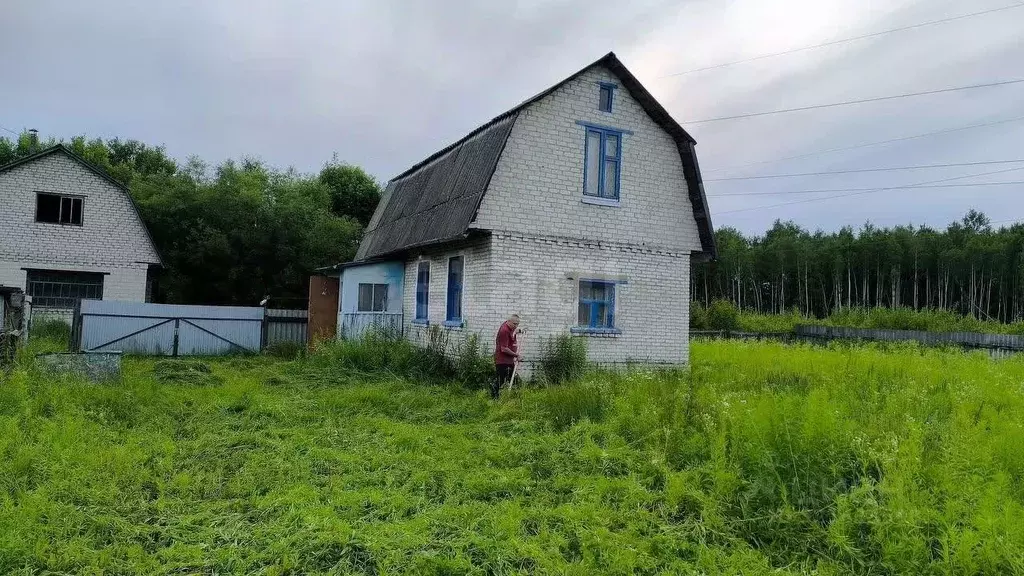 Дом в Брянская область, Брянский район, Нетьинское с/пос, Лесная ... - Фото 1