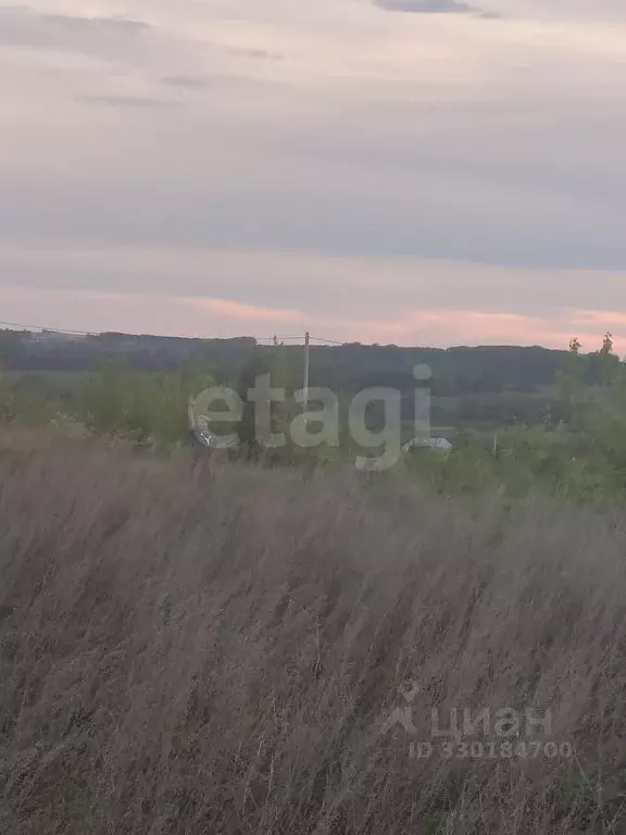 Участок в Башкортостан, Чишминский район, Лесной сельсовет, с. ... - Фото 1