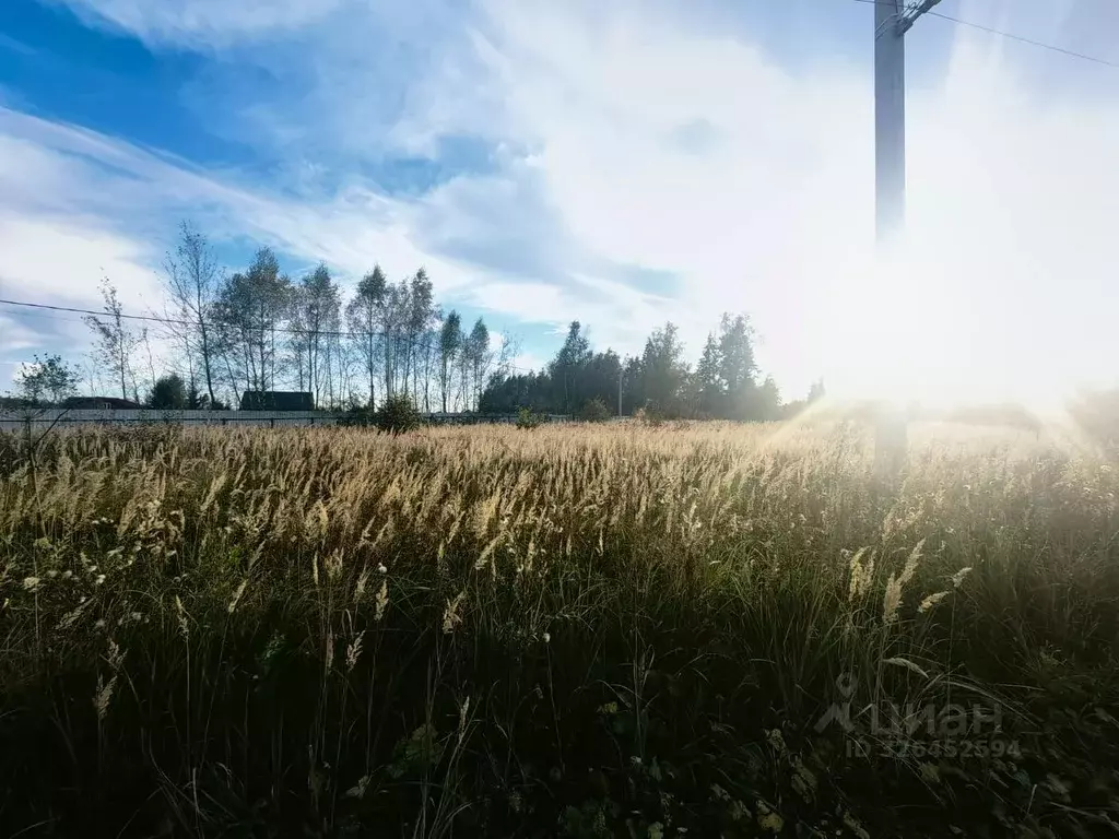 Участок в Московская область, Чехов муниципальный округ, д. Мальцы, ... - Фото 2