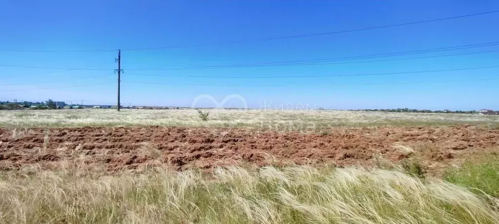 Участок в Волгоградская область, Волгоград Рабочий поселок Горьковский ... - Фото 1