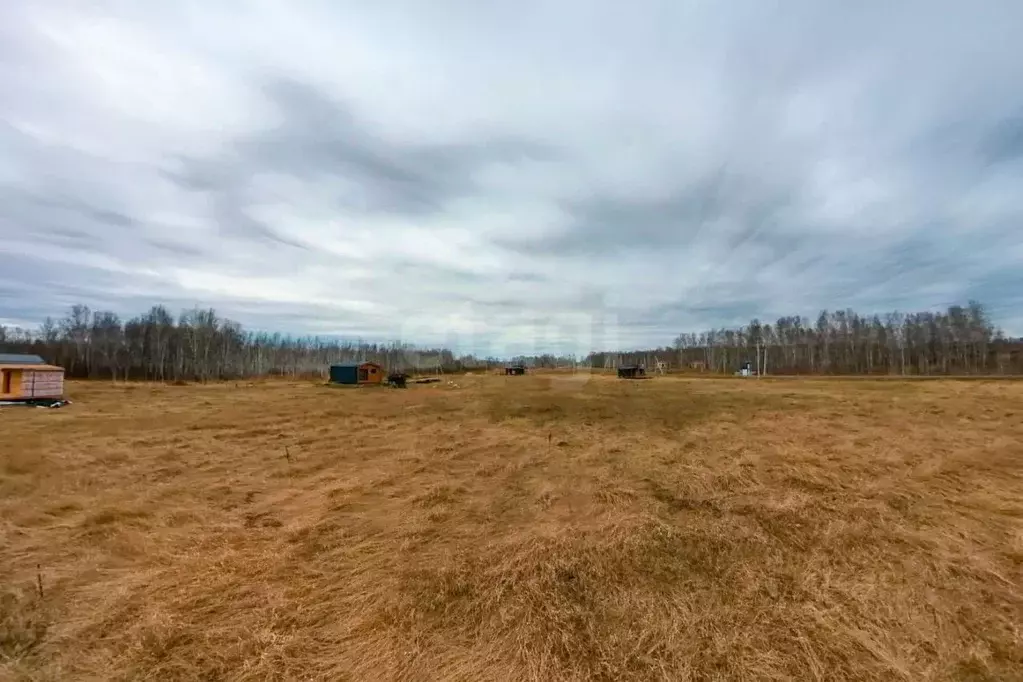 Участок в Тюменская область, Тюменский муниципальный округ, Дачи Хюгге ... - Фото 1