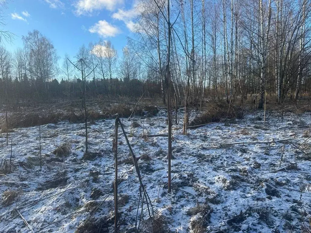 Участок в Московская область, Рузский муниципальный округ, д. Барынино ... - Фото 2