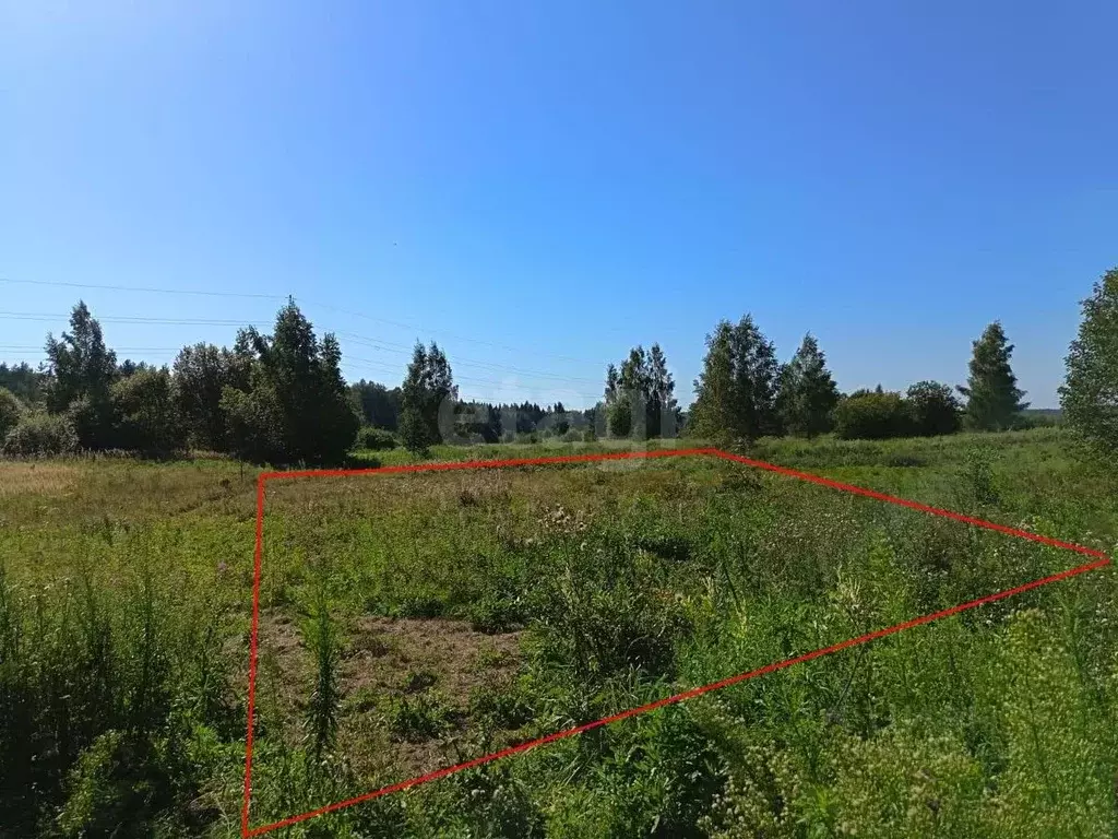 Участок в Московская область, Клин  (11.0 сот.) - Фото 1