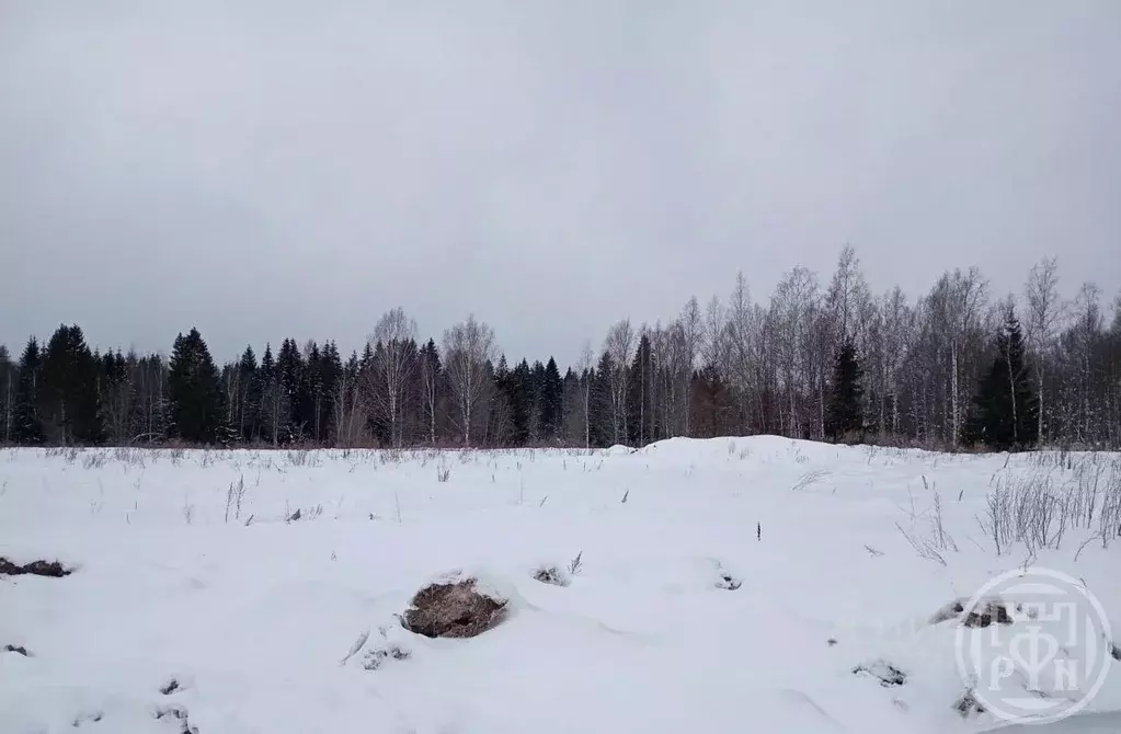 Участок в Ленинградская область, Всеволожский район, Агалатовское ... - Фото 1