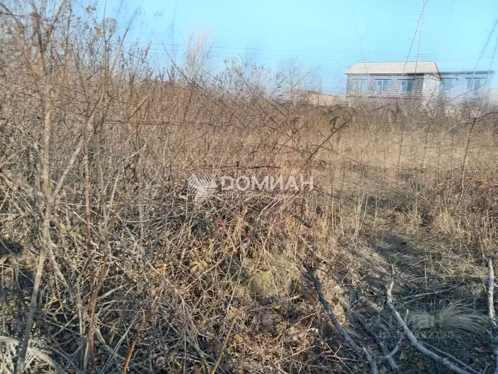 Участок в Ростовская область, Октябрьский район, пос. Персиановский ... - Фото 2