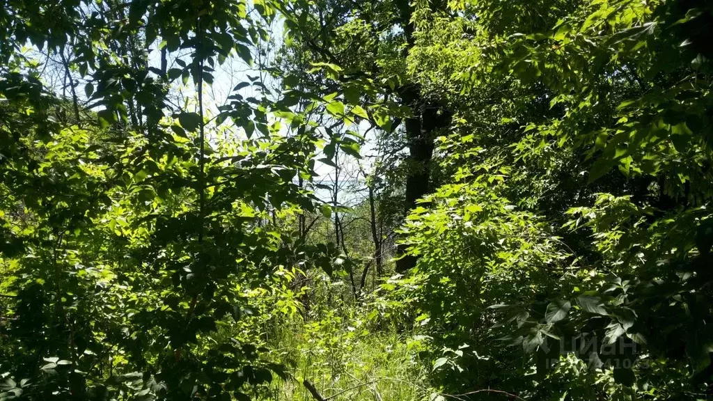 Участок в Самарская область, Самара просека 6-я (7.5 сот.) - Фото 1