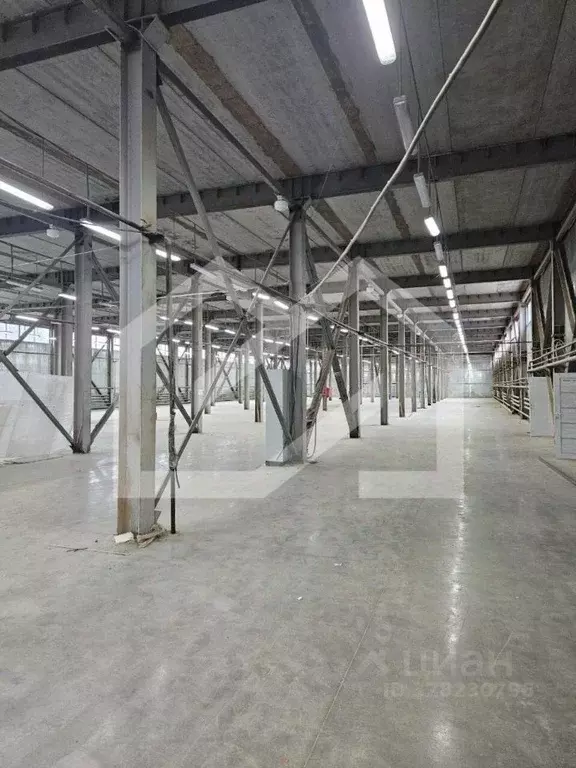 Производственное помещение в Московская область, Одинцово Баковская ... - Фото 1