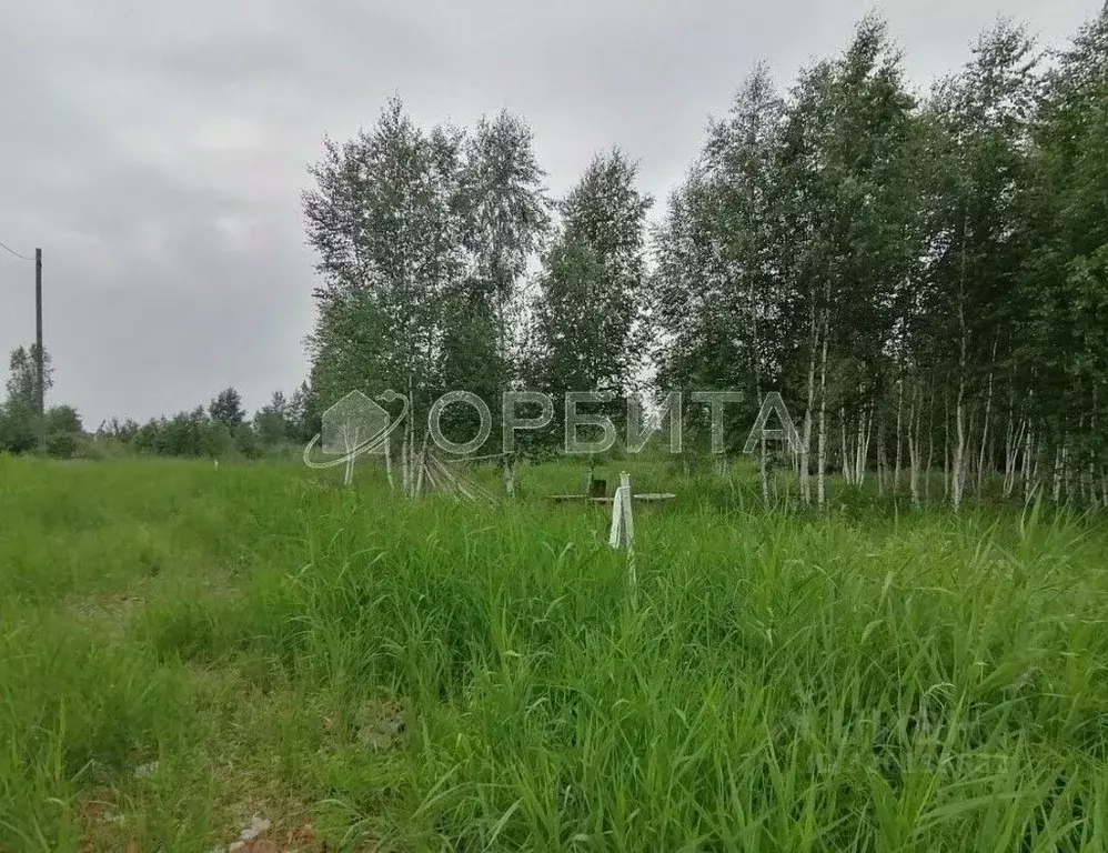 Участок в Тюменская область, Тюменский район, Янтарное ДНТ ул. ... - Фото 0