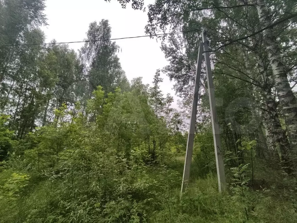 Участок 72,78 га (СНТ, ДНП) - Фото 1