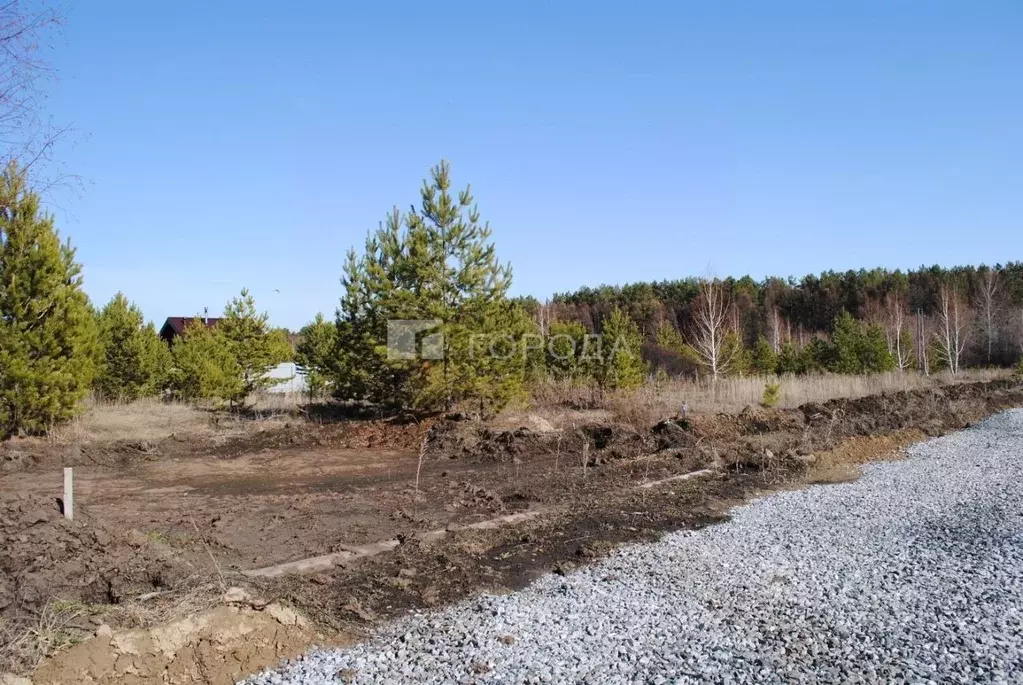 Участок в Новосибирская область, Новосибирский район, Морской ... - Фото 0