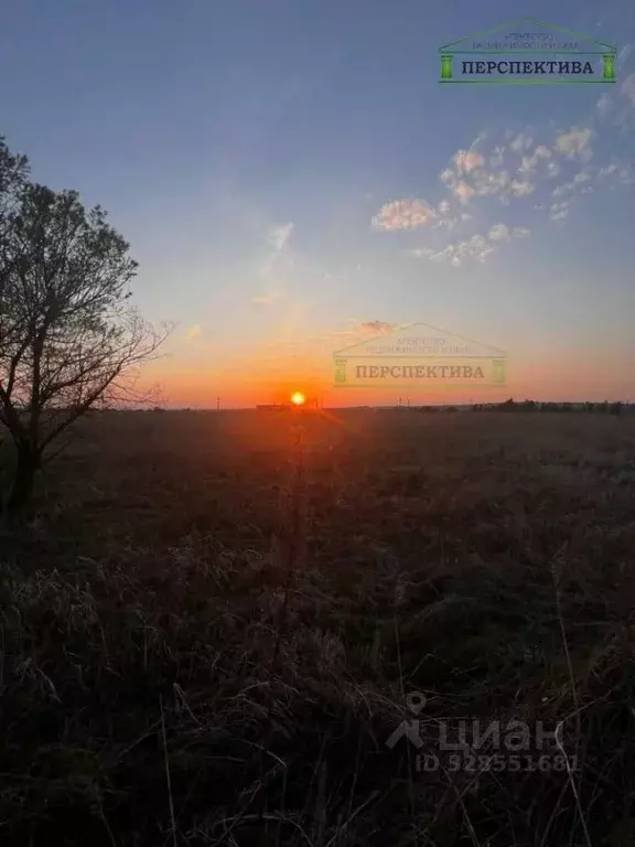 Участок в Приморский край, Надеждинский район, пос. Зима Южная ул. ... - Фото 2