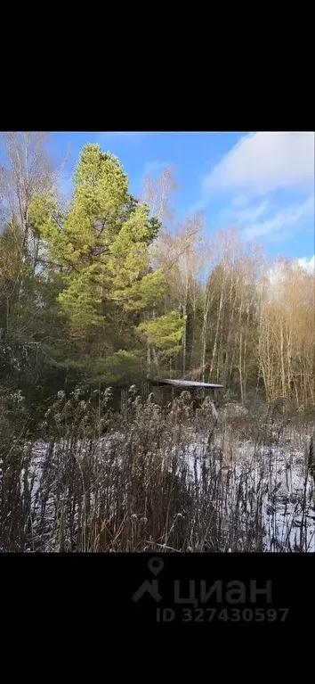 Участок в Калужская область, Боровский муниципальный округ, Лесное-2 ... - Фото 1